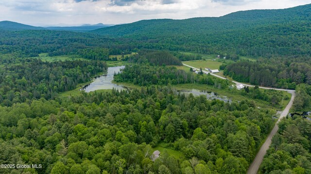 11 Darling Rd, Stony Creek, NY 12878 - photo 7