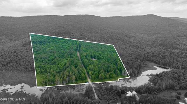 11 Darling Rd, Stony Creek, NY 12878 - photo 65