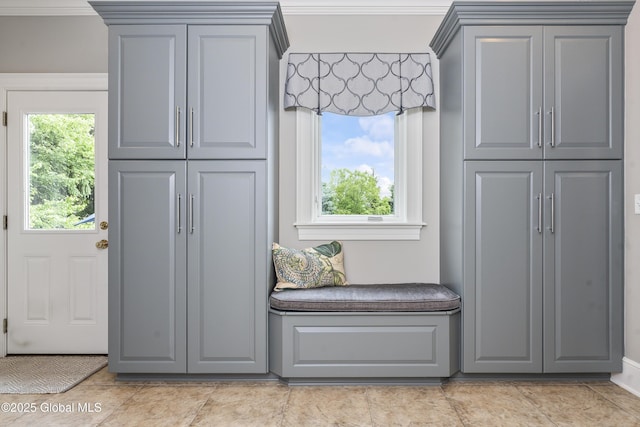 1 Stoneridge Dr, Colonie, NY 12211 - mudroom featuring healthy amount of natural light and ornamental molding