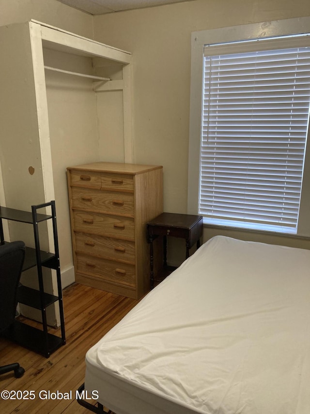 45 14th St, Troy, NY 12180 - bedroom with wood finished floors and a closet