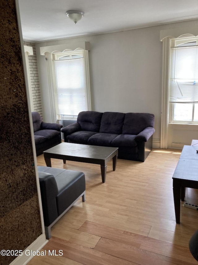 45 14th St, Troy, NY 12180 - living area featuring light wood-style flooring