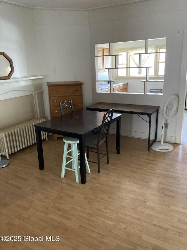 45 14th St, Troy, NY 12180 - dining area featuring radiator heating unit and light wood-style floors