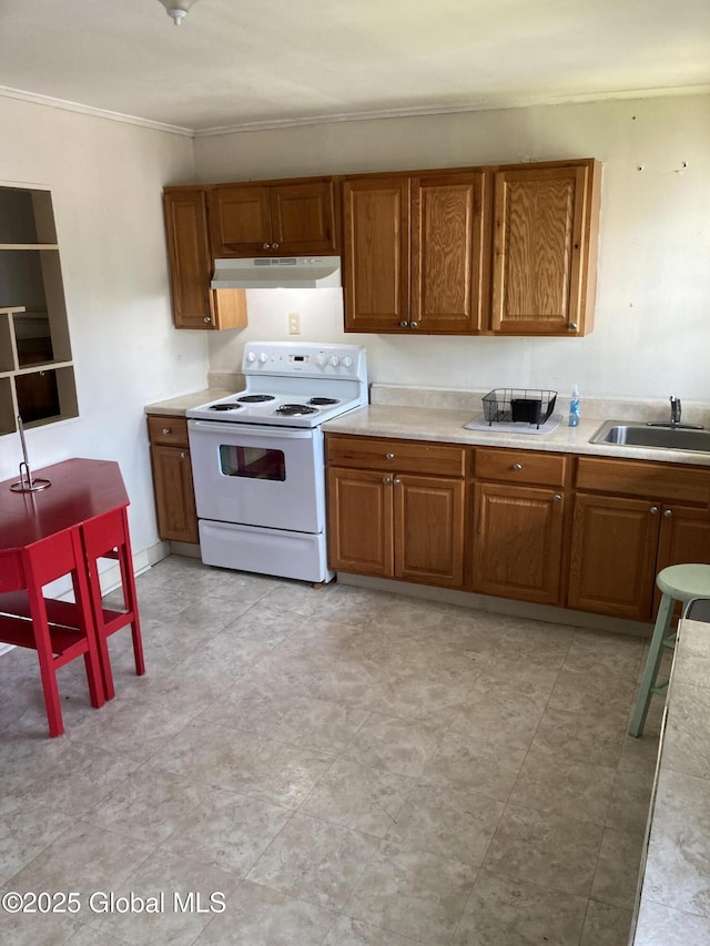 45 14th St, Troy, NY 12180 - kitchen with white range with electric stovetop, a sink, crown molding, under cabinet range hood, and brown cabinets