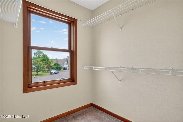 35 Justine Ct, East Greenbush, NY 12144 - spacious closet featuring carpet flooring