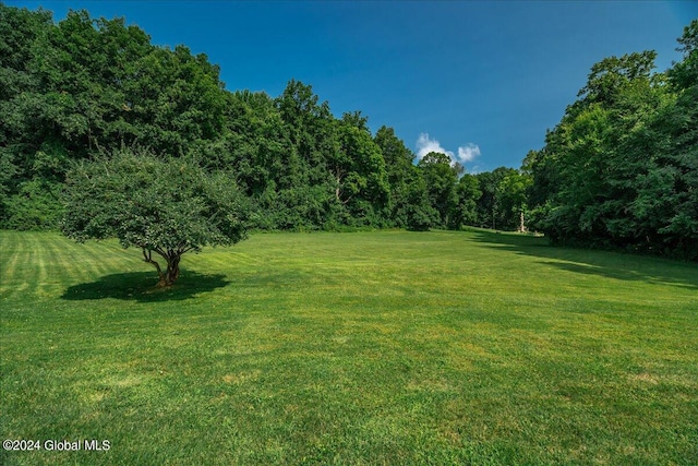363 Goodman Rd, Fort Ann, NY 12827 - view of grassy yard with a wooded view