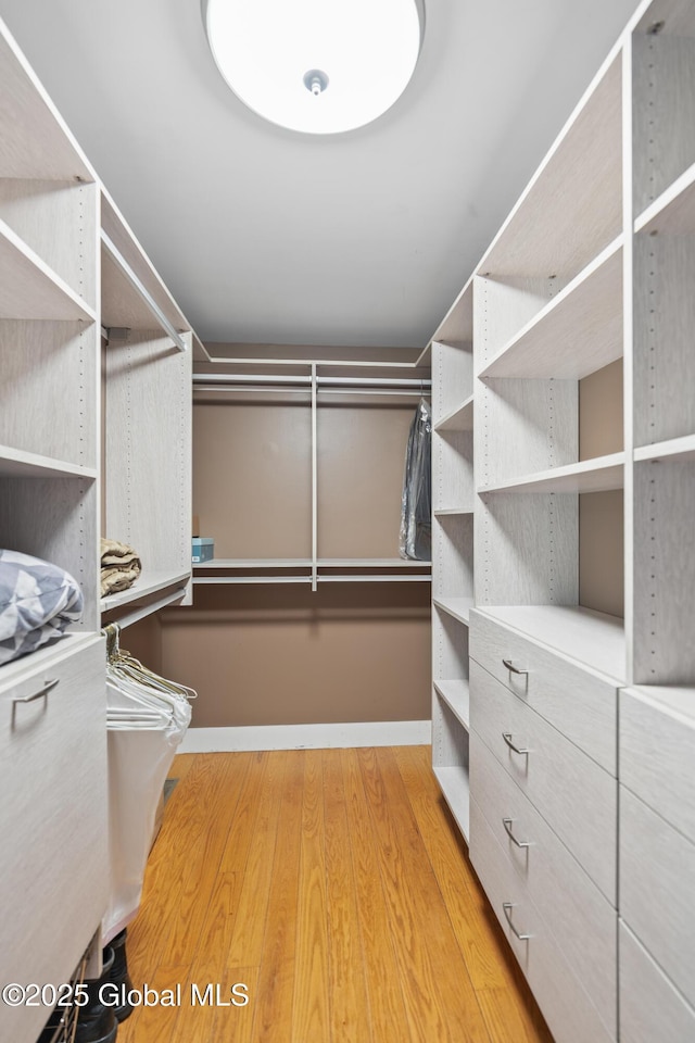363 Goodman Rd, Fort Ann, NY 12827 - spacious closet with light wood-style floors