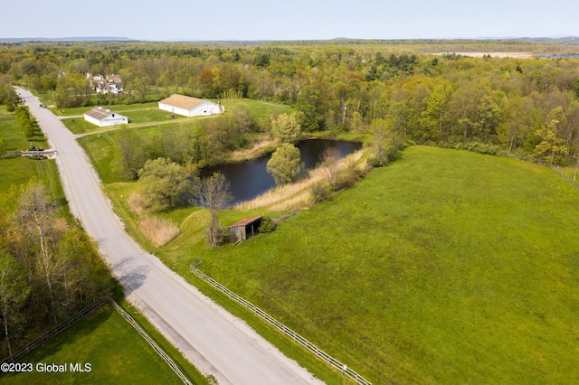 4 Saratoga Farm Rd, Malta, NY 12020 - photo 17
