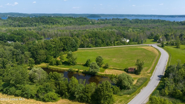 4 Saratoga Farm Rd, Malta, NY 12020 - photo 10