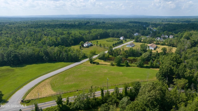 4 Saratoga Farm Rd, Malta, NY 12020 - photo 13