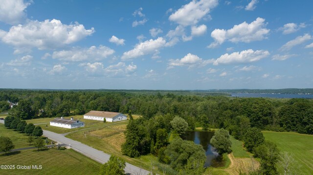 4 Saratoga Farm Rd, Malta, NY 12020 - photo 8