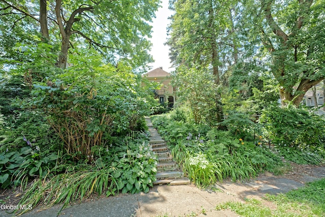 145 Pawling Ave, Troy, NY 12180 - photo 36