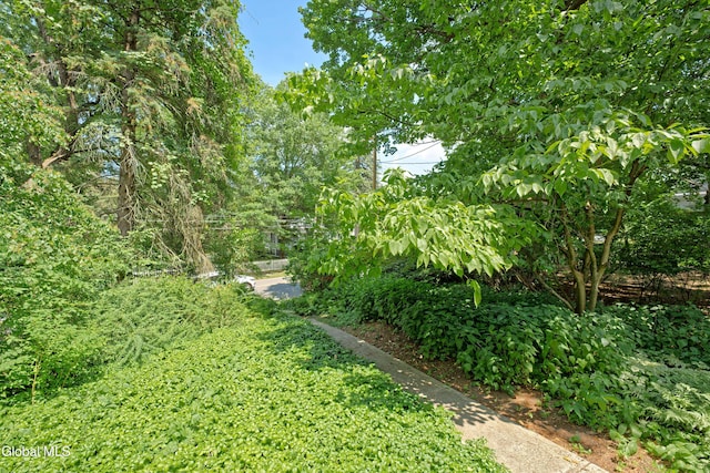 145 Pawling Ave, Troy, NY 12180 - photo 39