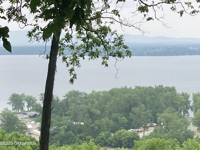 48 Spring St, Port Henry, NY 12974 - water view