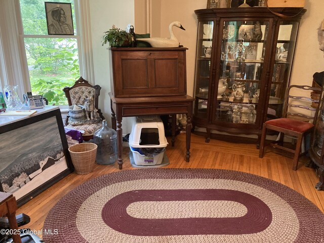 48 Spring St, Port Henry, NY 12974 - sitting room featuring wood finished floors