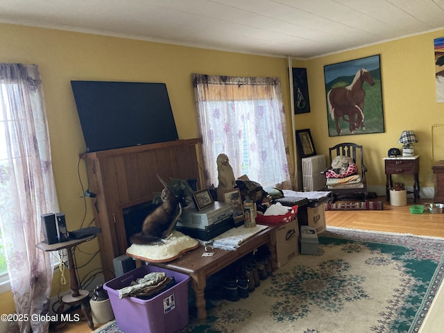 48 Spring St, Port Henry, NY 12974 - interior space featuring ornamental molding and wood finished floors