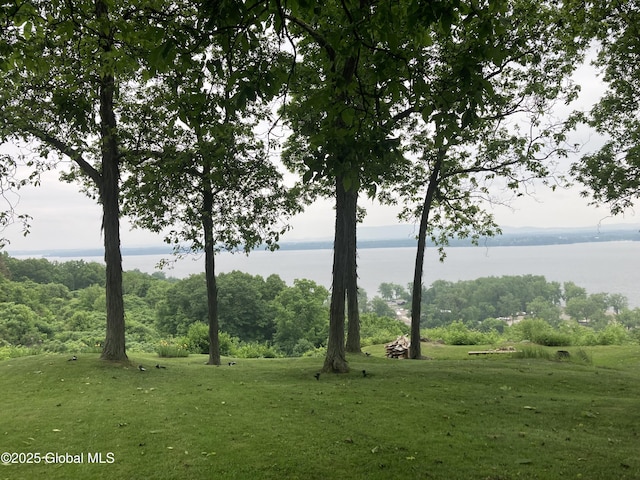 48 Spring St, Port Henry, NY 12974 - view of undeveloped land with a large body of water