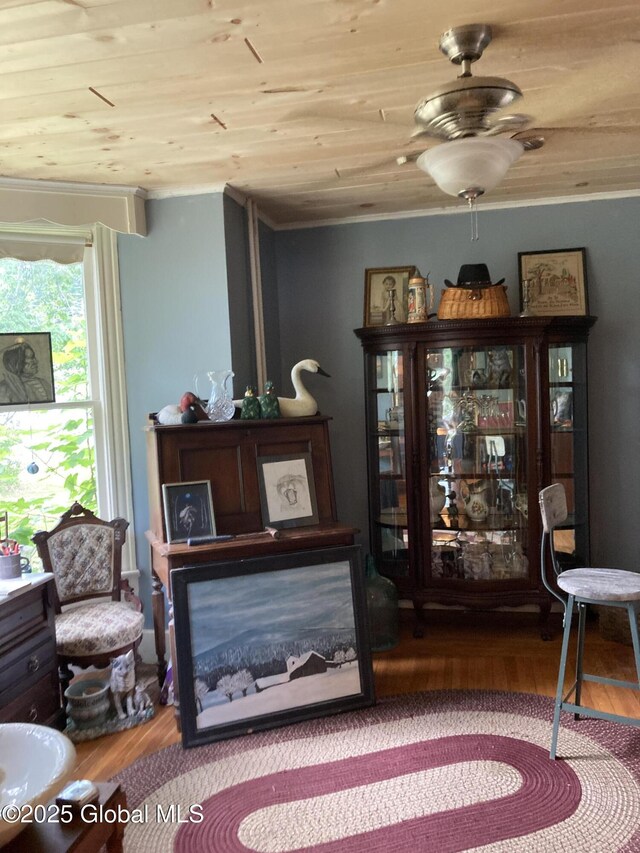 48 Spring St, Port Henry, NY 12974 - photo 11