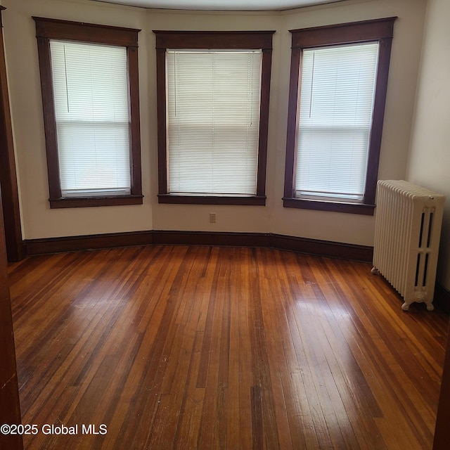 359 2nd Ave, Albany, NY 12209 - empty room with radiator heating unit, dark wood-style flooring, and healthy amount of natural light