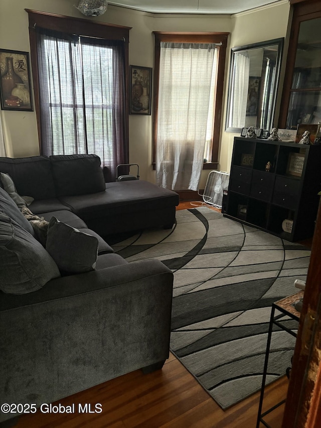 359 2nd Ave, Albany, NY 12209 - living room featuring wood finished floors and healthy amount of natural light