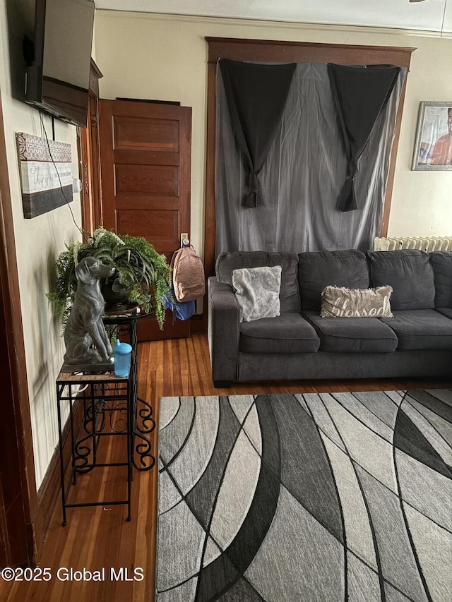 359 2nd Ave, Albany, NY 12209 - living room with wood finished floors