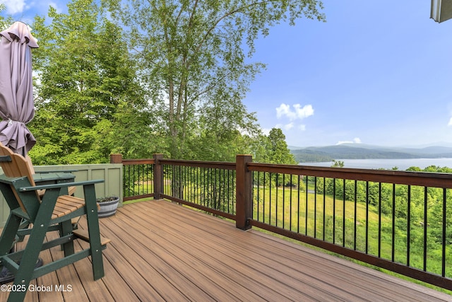 209 Mill Creek Rd, Horicon, NY 12808 - photo 21