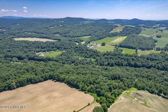 2233 State Route 29, Greenwich, NY 12834 - photo 3