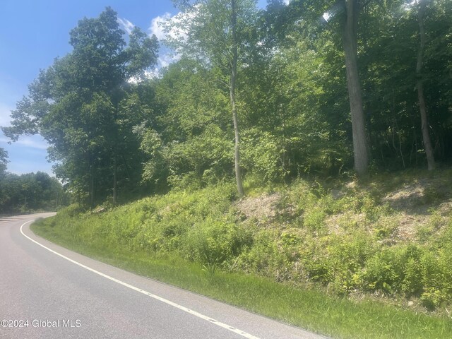 2233 State Route 29, Greenwich, NY 12834 - photo 4