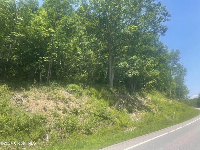 2233 State Route 29, Greenwich, NY 12834 - photo 5