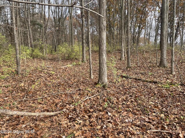2233 State Route 29, Greenwich, NY 12834 - photo 6