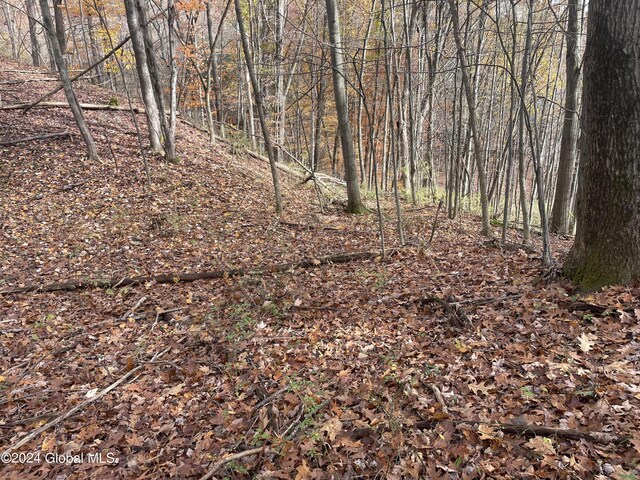 2233 State Route 29, Greenwich, NY 12834 - photo 7