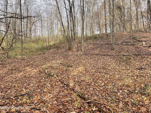 2233 State Route 29, Greenwich, NY 12834 - photo 8