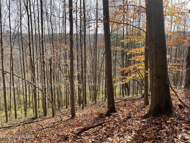 2233 State Route 29, Greenwich, NY 12834 - photo 9