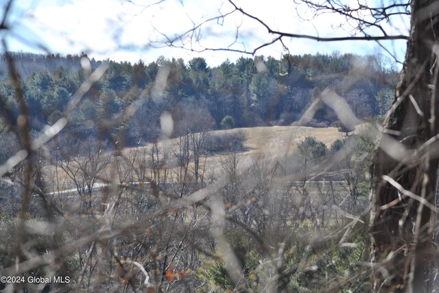 2233 State Route 29, Greenwich, NY 12834 - photo 10