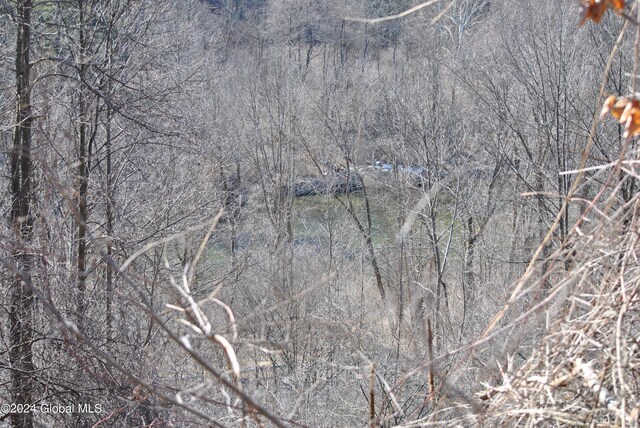 2233 State Route 29, Greenwich, NY 12834 - photo 11