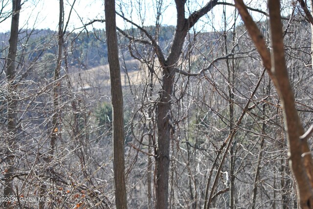 2233 State Route 29, Greenwich, NY 12834 - photo 13