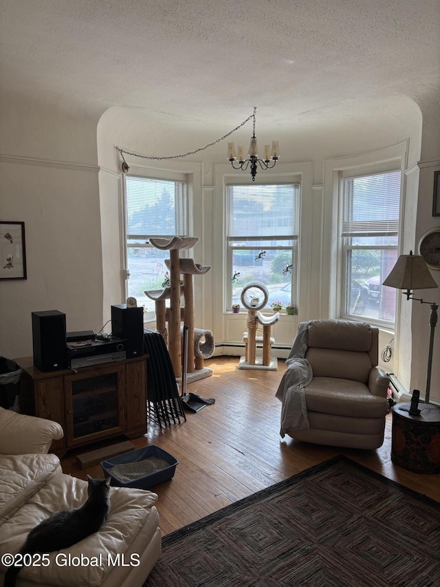219 Green St, Schenectady, NY 12305 - living area featuring hardwood / wood-style flooring, a textured ceiling, and a chandelier