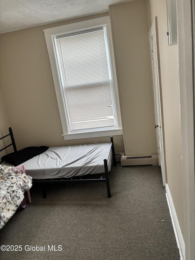 219 Green St, Schenectady, NY 12305 - bedroom with carpet and a baseboard radiator