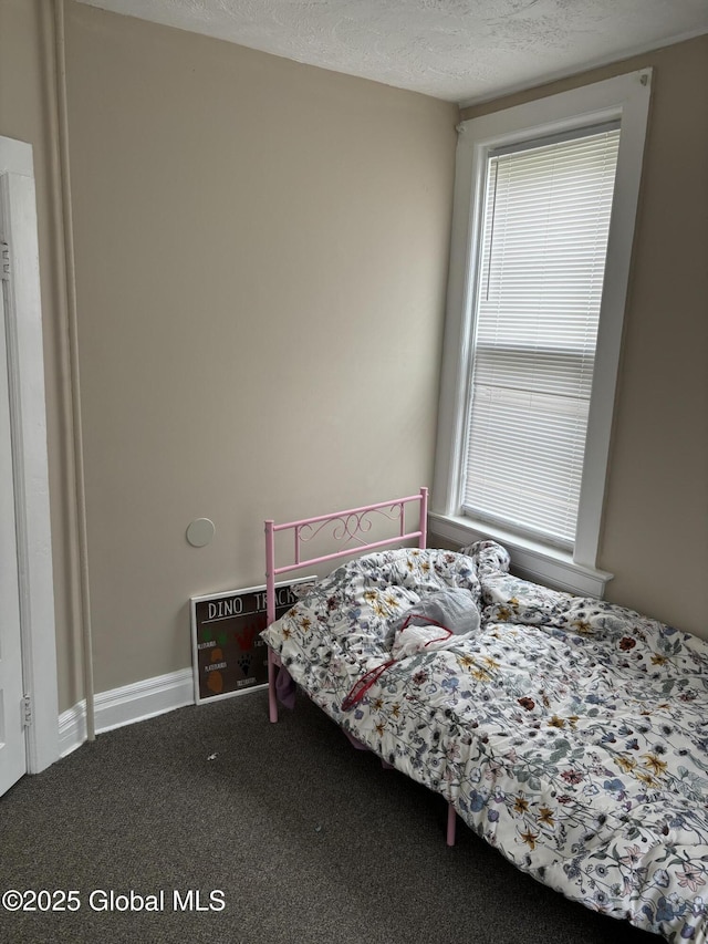 219 Green St, Schenectady, NY 12305 - carpeted bedroom featuring multiple windows