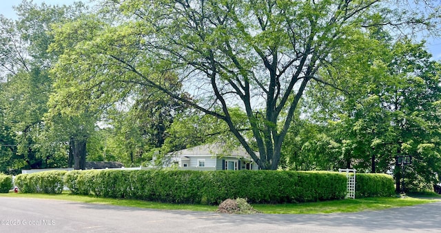 30 Mercer St, Guilderland, NY 12203 - photo 14