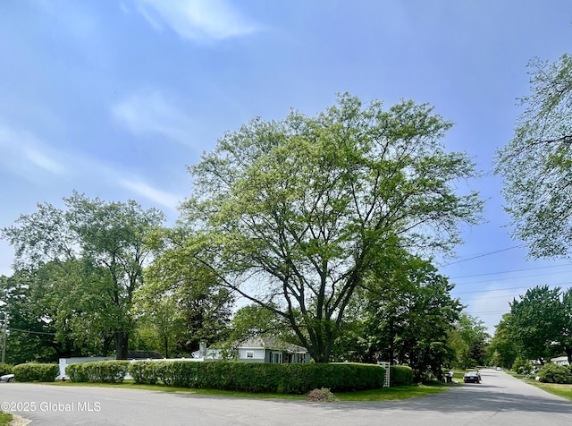 30 Mercer St, Guilderland, NY 12203 - photo 15
