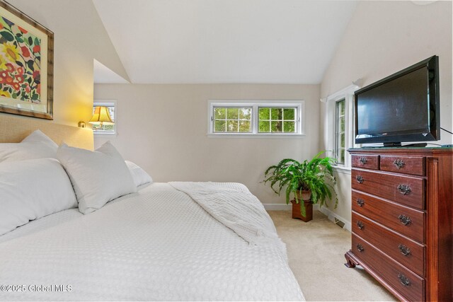 20 N Helderberg Pkwy, Bethlehem, NY 12159 - photo 45
