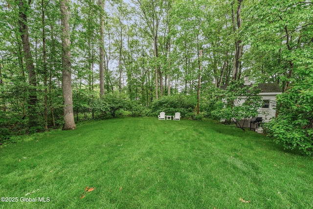 20 N Helderberg Pkwy, Bethlehem, NY 12159 - photo 60