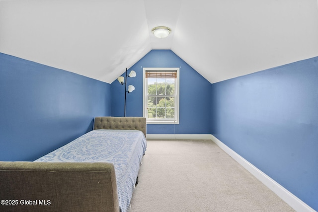 41 Jean Pl, Guilderland, NY 12303 - bedroom with carpet flooring and lofted ceiling