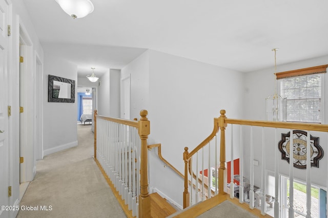 41 Jean Pl, Guilderland, NY 12303 - hallway featuring an upstairs landing and carpet floors