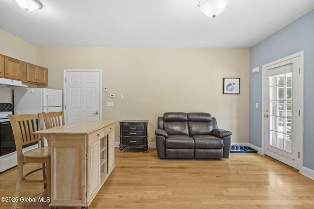 41 Jean Pl, Guilderland, NY 12303 - living area with light wood-style floors and baseboards