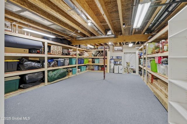 41 Jean Pl, Guilderland, NY 12303 - view of storage area