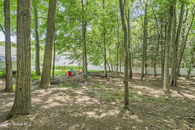 41 Jean Pl, Guilderland, NY 12303 - view of yard