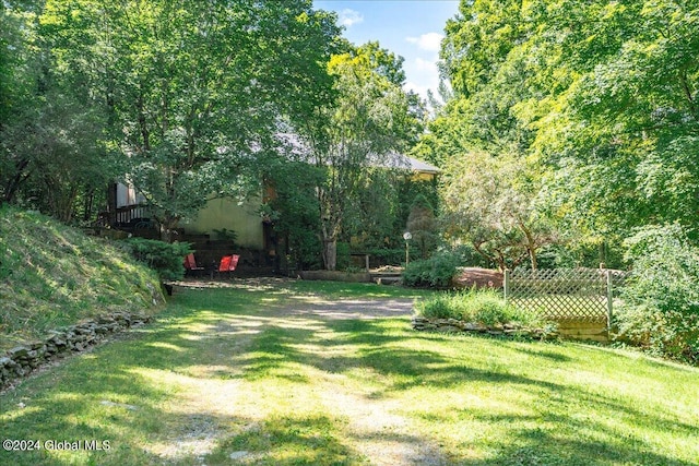 290 Camden Valley Rd, Salem, NY 12873 - view of yard