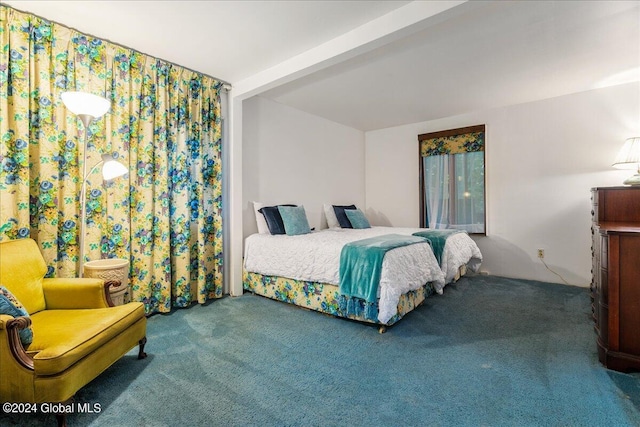 290 Camden Valley Rd, Salem, NY 12873 - bedroom featuring carpet flooring