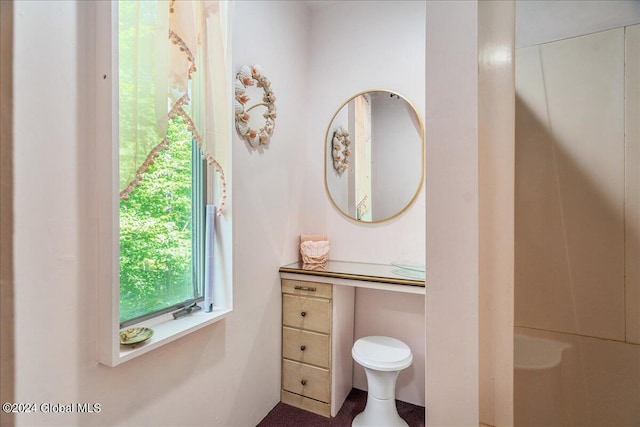 290 Camden Valley Rd, Salem, NY 12873 - bathroom featuring toilet